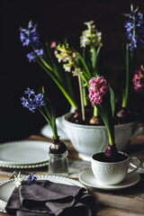 Elegant beautiful dinner table setting with a floral composition with bulbous hyacinth flowers as centrepiece. Easter celebration. White wine, vintage tableware. Bohemian style. Dark background