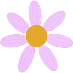 Beautiful shape and colors of soft pink daisy flower petals are starting to bloom.