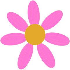 Beautiful shape and colors of soft pink daisy flower petals are starting to bloom.