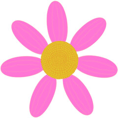 Beautiful shape and colors of soft pink daisy flower petals are starting to bloom.