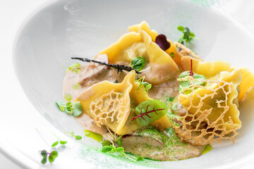 Ravioli with sauce decorated with greens in plate isolated on white background. Italian dishes, top view, close up