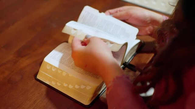 studying the scriptures