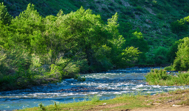 Summer in the mountains. River in the highlands. Summer landscape. Thousands of tired, nervous, overly civilized people are beginning to understand that going to the mountains means going home.