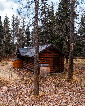 Rustic log cabin