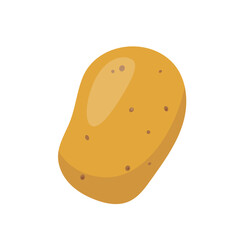 Potato root vegetable. Farm boiled, baked or raw golden yellow potato icon. Organic garden vegetarian food. Vector illustration isolated on white background.