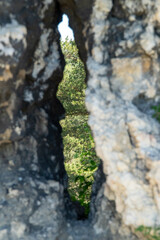 zamki na jurze krakowskiej i okolice Ogrodzieniec © rob