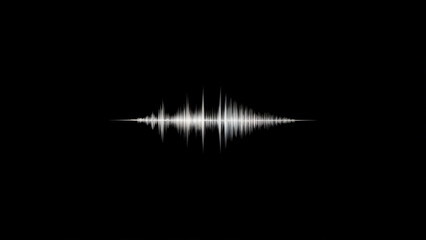 A centered white audio wave form visualization against a pure black background.