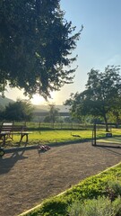 Naklejka premium bench in the park