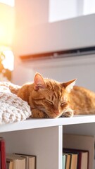 Tabby Orange Cat sleeping near air conditioner,resting in sunlight,relaxing-sleep on bookshelves with a light leak background,peaceful cat indoor lifestyle,feline comfort in modern home,pet mood 3