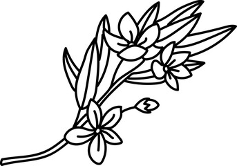 Floral Line Art Bouquet