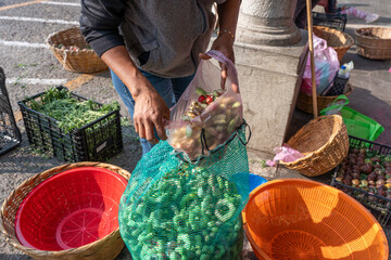 Fruit known as guamuchiles in a basket at a street market stall Mexican fruit, Pithecellobium sweet, huamuchil, wuamuchil, guamuchil, gallinero, pinzán, chiminango, gina, guamaras.