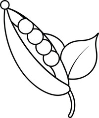 Fresh Green Peas Pod Vector Illustration