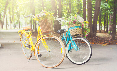 Fototapeta premium Two yellow and turqoise city woman bikes with flowers in park. Bright lady bicycles vintage style with baskets full of wildflowers in summer sunny town. Elegant recreational vehicles