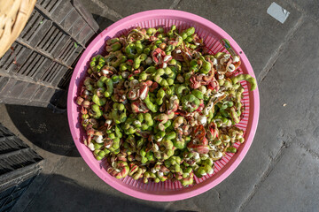 Fruit known as guamuchiles in a basket at a street market stall Mexican fruit, Pithecellobium sweet, huamuchil, wuamuchil, guamuchil, gallinero, pinzán, chiminango, gina, guamaras.