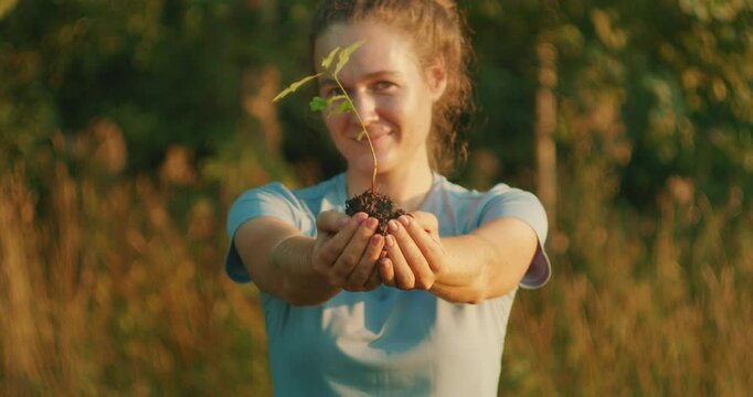 Woman holding a sapling in a summer forest clearing during golden hour