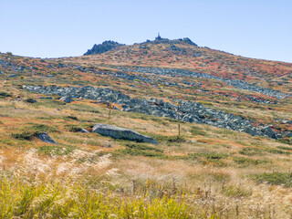 Fototapeta premium Autumn panorama of Vitosha Mountain, Bulgaria