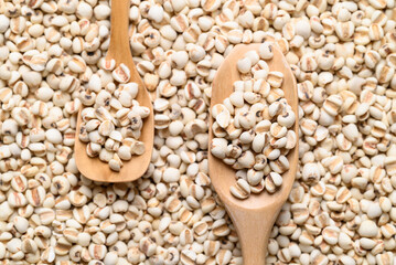 Dried Job's tears or adlay millet seeds background with wooden scoop, Food ingredient