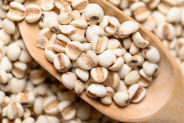 Dried Job's tears or adlay millet seeds in wooden scoop, Food ingredient, Top view