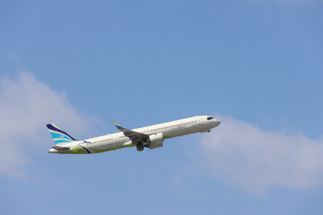 Wings Flying Over the City