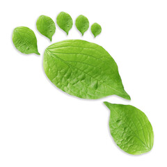 Human footprint made of green leaves on white background, top view. Environmental care, ecology protection, reducing CO2 emission