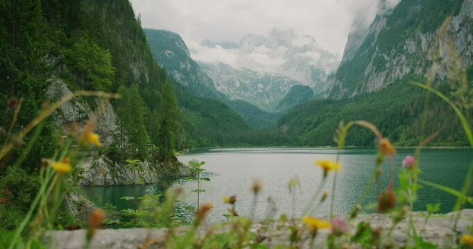 Breathtaking alpine lake with wildflowers in the foreground and misty peaks in the background