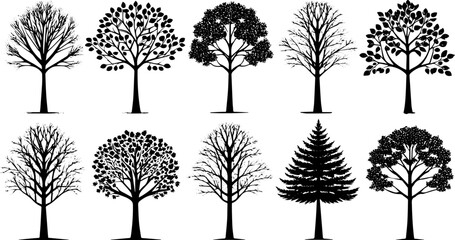 Stylized Tree Silhouettes Vector Set, Leafy and Leafless Trees for Seasonal and Nature Design Projects