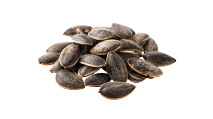 Pile of Sunflower Seeds Close Up on Transparent Background
