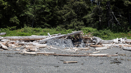 Canadian Pacific beach with driftwood and grainy sand