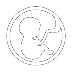 Fetus, embryo. Vector illustration. Simple design