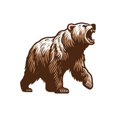 angry brown bear walking vector illustration	
