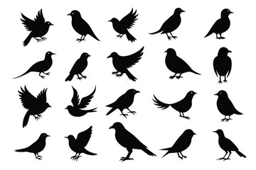 Bird Flying Silhouette Collection &ndash; Vector Pack & Clipart Set.