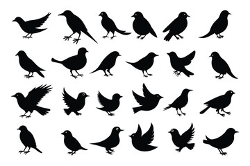 Bird Flying Silhouette Collection – Vector Pack & Clipart Set.