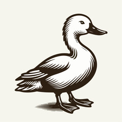 Obraz premium duck silhouette vector illustration