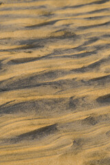 sunset sand patterns on the pacific coast, baja california sur, mexico