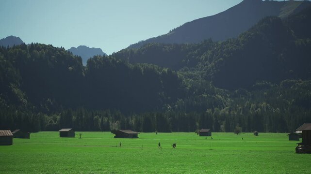 Idyllic landscape in Oberstdorf, Bavaria. Lush pastures, grazing cows and traditional dairy farms define region. Organic farming, livestock breeding and dairy production are essential in Bavaria. 