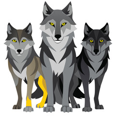 A pack of four wolves with varying shades of gray and yellow eyes stands and sits together with white background