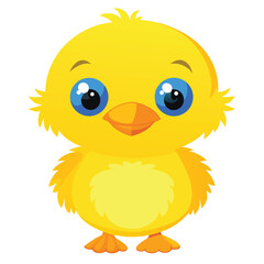 A small, fluffy yellow duckling with big blue eyes and an orange bill stands facing forward with white background
