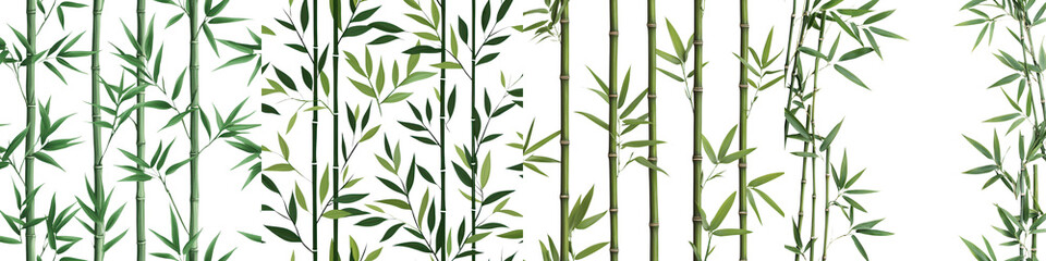 Naklejka premium Lush bamboo forest with green leaves