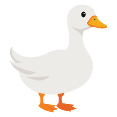 A white duck with an orange bill and feet stands looking to the left  with white background