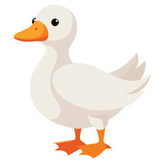 A white duck with an orange bill and feet stands looking to the left  with white background