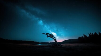 Fototapeta premium Solitary Tree Under a Starry Night Sky