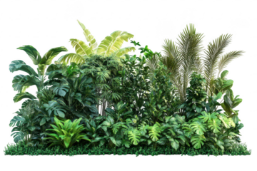 Lush tropical plant collection isolated on a transparent background