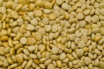 Macro shot of large breed dog kibble, showing dry texture and natural brown color
