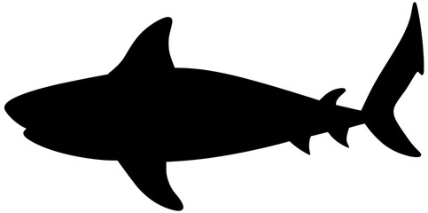 Blacktip Reef Shark Silhouette Shadow Vector