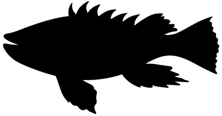 Black Sea Bass Silhouette Shadow Fish Vector