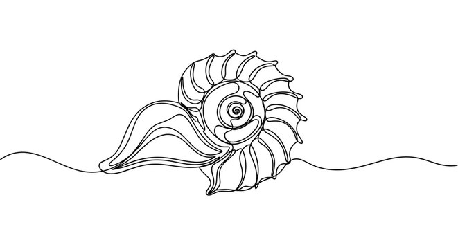 Line drawing of an ammonite shell in a minimalistic style  