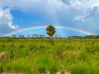 Obraz premium Florida Rainbow