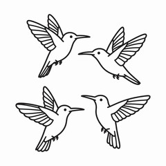 captures graceful hummingbirds mid-air, showcasing nature's elegance and synchronized beauty against a vibrant sky.