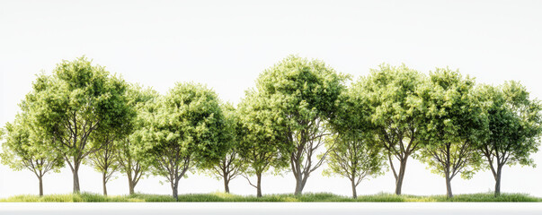 Lush green trees line serene landscape, creating peaceful and natural environment. vibrant foliage adds beauty and tranquility