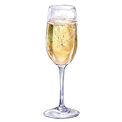 Champagne Flute, watercolor drawing vector, high quality, isolated on a white background.